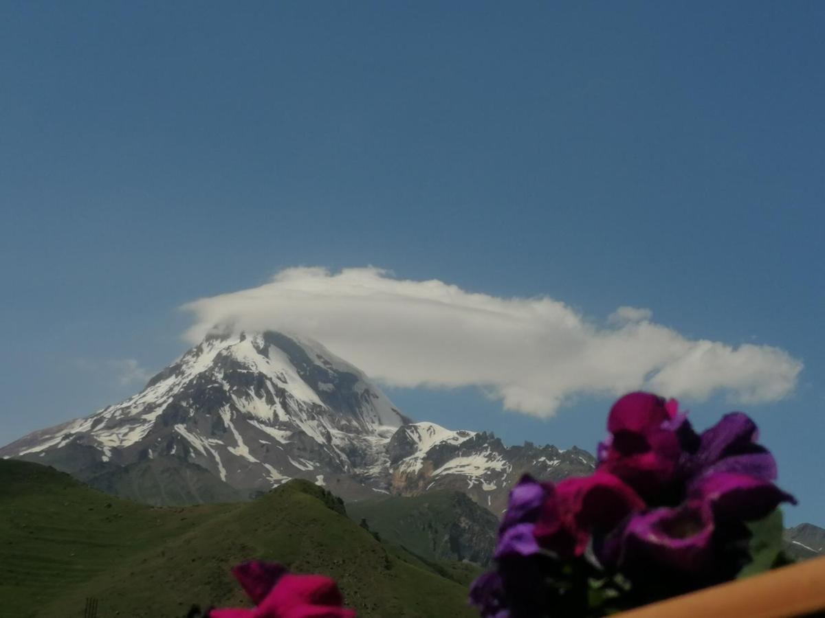 Panorama Cottages Kasbegi Buitenkant foto