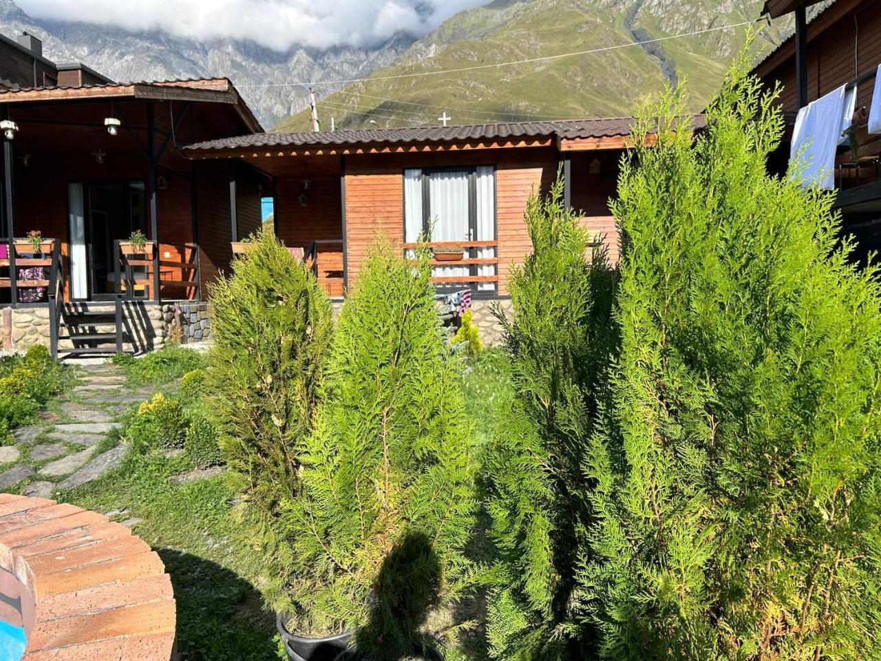 Panorama Cottages Kasbegi Buitenkant foto