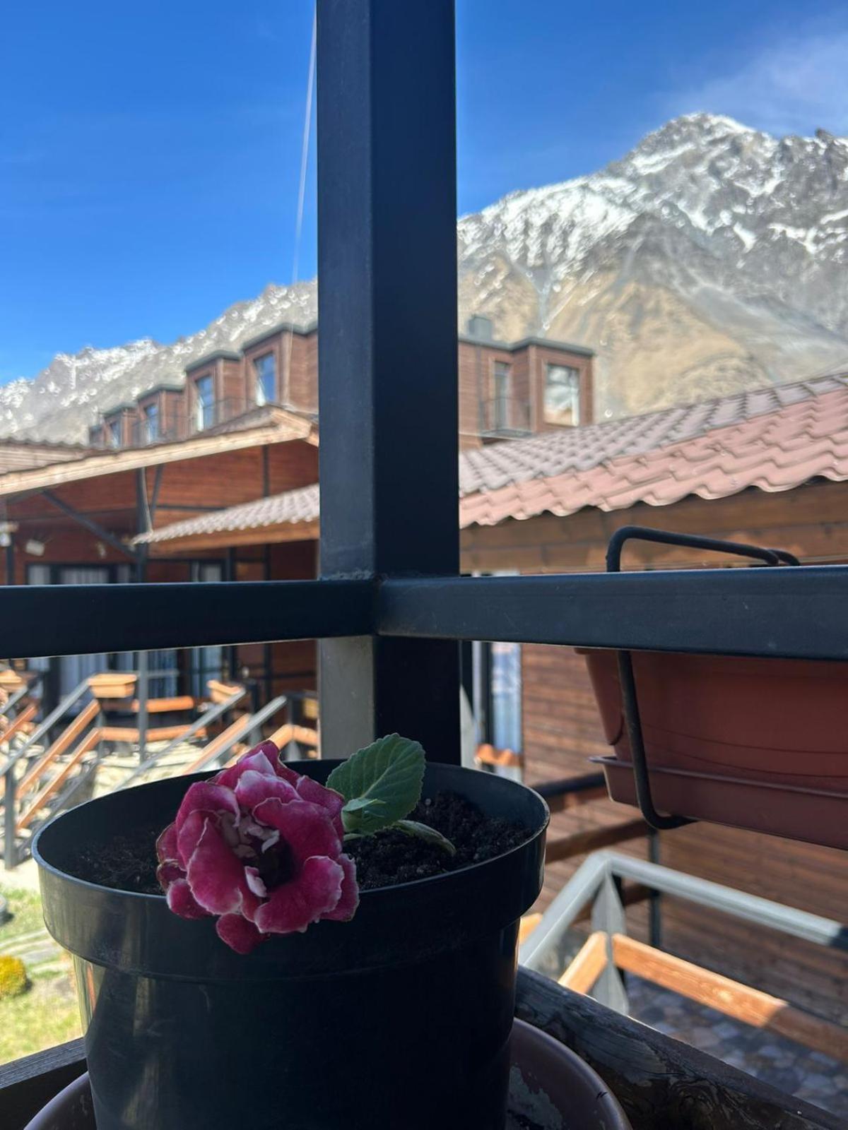 Panorama Cottages Kasbegi Buitenkant foto